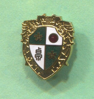 Table Tennis Tischtennis Ping Pong  - JTTA Japan Federation Association, Vintage Pin Badge Abzeichen, Enamel - Table Tennis