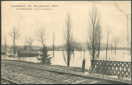 Montbelliard - Plaine De Sochaux - Inondations 20 Janvier 1910 - Edit. Duthion - Voir 2 Scans Larges & Descriptif - Montbéliard