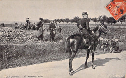 Militaria - Autres - En Campagne - En Attendant L'action - Militaires - Chevaux - Carte Postale Ancienne - Other & Unclassified