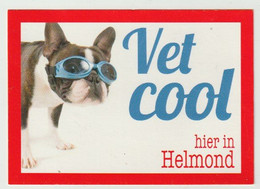 Ansichtkaart - Postcard: VET COOL Hier In Helmond (NL) - Helmond