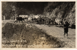 PC VENEZUELA, ENTRE MARACAY, A. MÜLLER, Vintage REAL PHOTO Postcard (b45552) - Venezuela