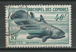 Comores Yv. 13, Mi 31 Obl. - Used Stamps