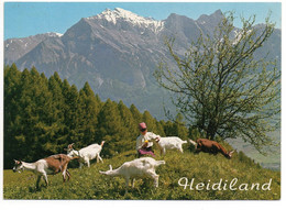 MAIENFELD Und BAD RAGAZ Heidi Mit Ziegen - Maienfeld