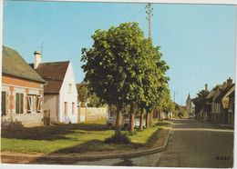 Oise : SAINTE GENEVIEVE : Route  Du Camp  Du  Puits , Rue D El '  Eventail - Sainte-Geneviève