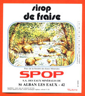 Etiquette Neuve De Sirop De Fraise SPOP à Saint Alban Les Eaux - Fruits & Vegetables