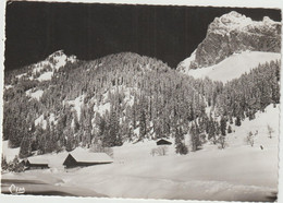 Haute  Savoie : LA  CHAPELLE  D '   Abondance :  Chevenne Et Les  Cornettes  De  Bises - La Chapelle-d'Abondance