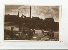 BEYROUTH CARTE PHOTO PHARE (CHEVRIER ET TROUPEAU) - Liban