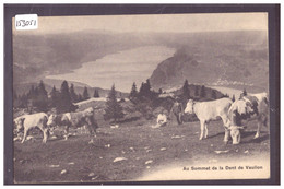 DISTRICT DE LA VALLEE - VACHES AU SOMMET DE LA DENT DE VAULION - TB - Vaulion