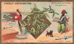 CHROMOS - S11590 - Chocolat Guérin Boutron Botanique Illustrée Amandier Huile Savons Nougats Env.10,6x6,2 Cm-L2 - Guerin Boutron