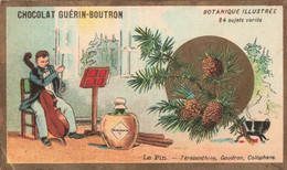 CHROMOS - S11593 - Chocolat Guérin Boutron Botanique Illustrée Le Pin Musicien Chaudron Env.10,6x6,2 Cm-L2 - Guerin Boutron