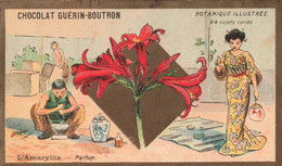 CHROMOS - S11594 - Chocolat Guérin Boutron Botanique Illustrée Amaryllis Parfum Femme Asiatique Env.10,6x6,2 Cm-L2 - Guerin Boutron