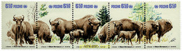 6900 MNH POLONIA 1981 PROTECCION DE LA NATURALEZA. BISONTES. - Sin Clasificación