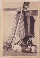 Casterlé - Le Moulin Déploie Ses Alles - Kasterlee