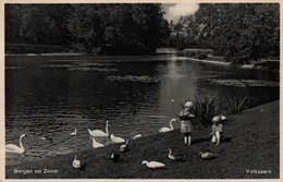 Bergen Op Zoom - Volkspark - Bergen Op Zoom