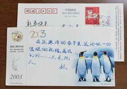 China 2003 New Year Greeting Pre-stamped Card Antarctic Emperor Penguin - Antarctic Wildlife