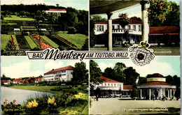 42924 - Deutschland - Bad Meinberg , Teutoburgerwald , Wandelhalle , Berggarten , Partie Am See - Gelaufen 1963 - Bad Meinberg