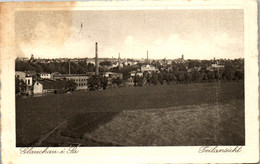 43024 - Deutschland - Glauchau , Sachsen , Teilansicht - Gelaufen 1930 - Glauchau