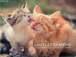 Chats Et Chatons L'agenda-calendrier 2018. - Collectif - 2017 - Agenda Vírgenes