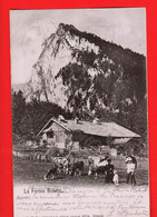 FKL-37 Creux-du-Van, La Ferme Robert. Famille Et Troupeaude Vaches. Dos Simple, Circ. Cachets Noiraigue Et Cernier.1901 - Cernier