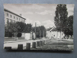 CP 10 Aube Photo MUSSY Sur SEINE  - La Place De L'hôtel De Ville , Mairie écrite Vers 1950 - Mussy-sur-Seine