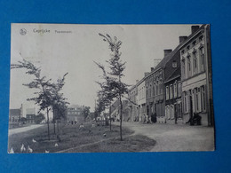 Caprijcke   Paardemarkt   (Kaprijke) - Kaprijke