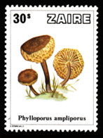 Tp De 1979 - Flore - Champignon - Phylloporus Ampliporus - Y&T N° 943 MH * - Nuovi