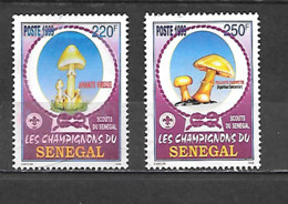 TIMBRE OBLITERE NON DENTELE DU SENEGAL DE 1999 N° MICHEL 1799/00 - Sénégal (1960-...)