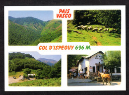 Espagne - Venta Ispeguy - ERRAZU ( Navarra) PAIS VASCO - Col D'Ispeguy- Multi Vues -Vues Diverses Du Col (Boutique) - Navarra (Pamplona)