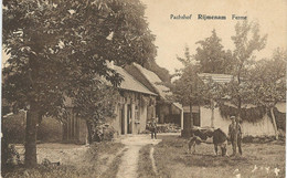 RIJMENAM : Pachshof - Ferme RARE CPA - Bonheiden