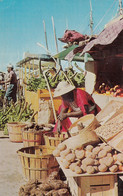 Nassau Bahamas - Vegetable Market Old Postcard 1968 - Bahamas