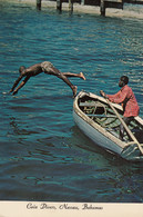 Nassau Bahamas - Native Boys Diving For Coins - Bahamas