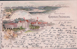 Kurhaus Frohburg SO, Station Läufelfingen & Olten, Familie Bader, Litho (11.8.1901) - Olten