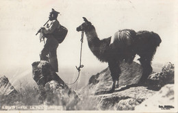 Bolivia Native Indian Folk Music Llama Real Photo Postcard - Bolivia