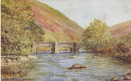 DARTMOOR - FINGLE BRIDGE - Dartmoor