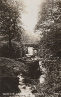 JESMOND DENE - WATERFALL - Newcastle-upon-Tyne