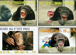 4 Cartes Postales Humoristiques (SINGES)  - Editions Paty -  Best Of Card N° 263 + New's Card N° 211 - 212 - 240 - Humour