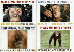 4 Cartes Postales Humoristiques (singes) - Editions Paty -  Best Of Card N° 263 - 274 - 275 - 277 - Humour