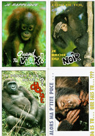 4 Cartes Postales Humoristiques (SINGES) - Les Funnys - Editions Cely - Cartes N° 95-46/95-50/95-54 + Best Of Card N°263 - Humor