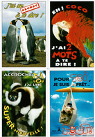 4 Cartes Postales Humoristiques (ANIMAUX)  - Les Funnys - Editions Cely - Cartes N° 95-42/95-44/95-45/95-60 - Humour