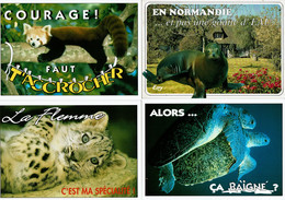 4 Cartes Postales Humoristiques (ANIMAUX) -Les Funnys -Editions Cely -Cartes N° 95-63/95-64/95-66 +Edition Leconte N°980 - Humor