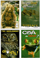 4 Cartes Postales Humoristiques  (ANIMAUX) - Les Funnys - Editions Cely - Cartes N° 95-48/95-52/95-55/95-58 - Humour