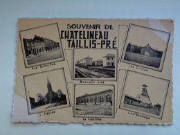 102-11-163            CHATELINEAU  TAILLIS-PRE     Souvenir De    ( Teinte Ocre-jaune ) - Châtelet