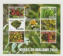 Malawi 2016 Herbs Plantes Plants Pflanzen Bäume Trees MNH** - Heilpflanzen