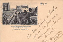 Belgique - Huy - Vue De L'établissement D'horticulture Pauline Fontaine Degey - Edit. De Ruyter- Carte Postale Ancienne - Huy