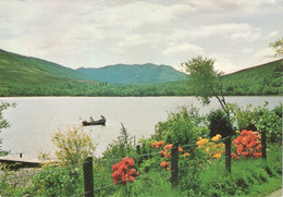 Head Of Loch Earn, Perthshire, Scotland - Perthshire