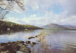 Loch Tay, Near Ardeonaig, Perthshire, Scotland - Perthshire