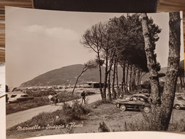 Cartolina   Marinella E Marina Di Carrara, Provincia Massa Carrara,spiaggia E Pineta 1961, Auto Fiat 1100 - Carrara