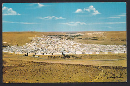 ALGERIA  ,  Ghardaia   ,  OLD  POSTCARD - Ghardaïa