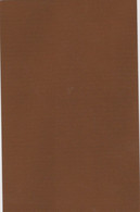 Décalque Decals Carbone Marron9x14 Cm Scale 1:18 1/18 Transfert Eau - Pegatinas (calcas)