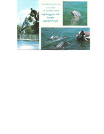 Georgia - Postcard Unused - Batumi -   Dolphinarium - Géorgie